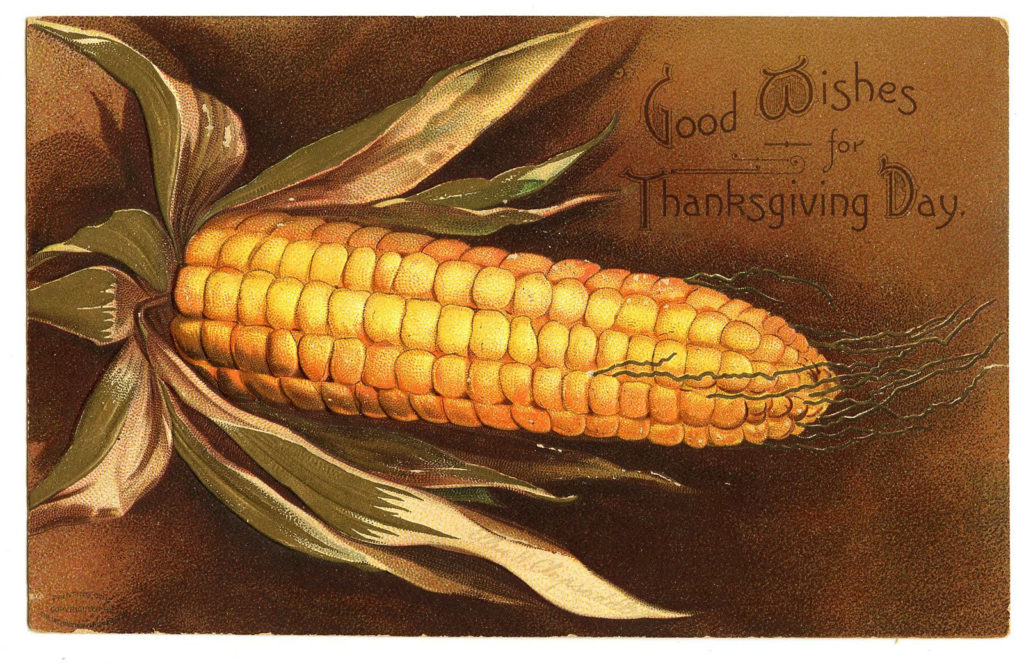 vintage thanksgiving corn image