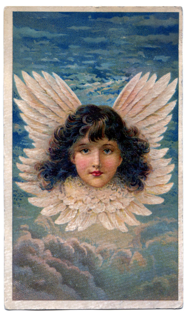 angel vintage wings clouds feathers illustration