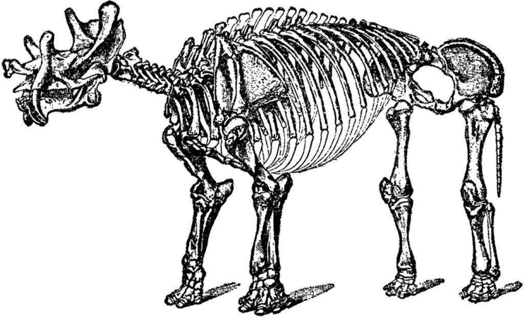 antique dinosaur illustration