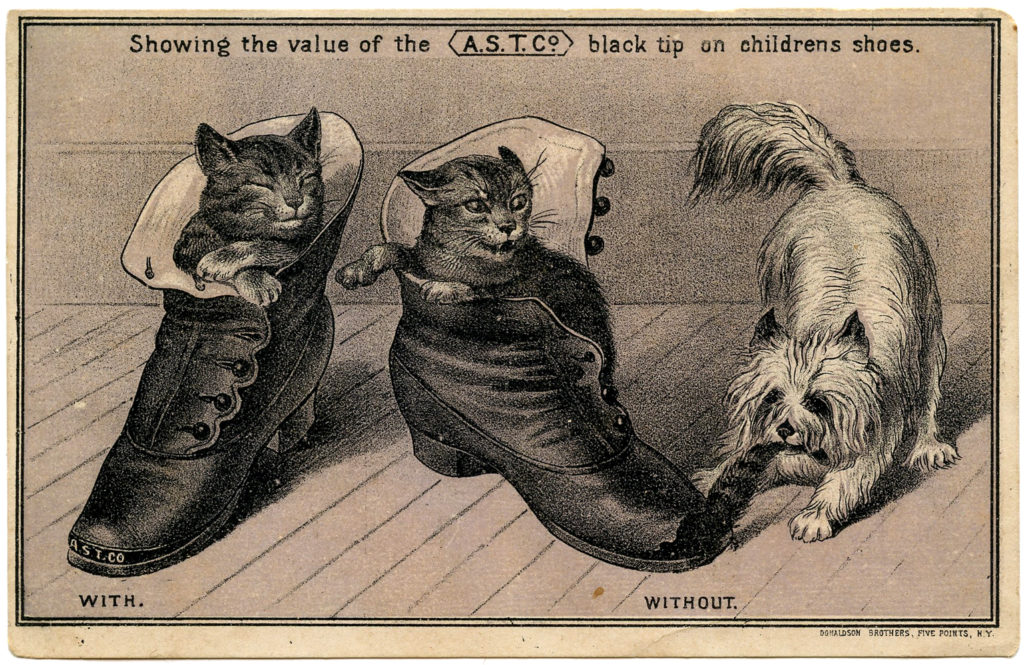 cats dog shoes vintage image