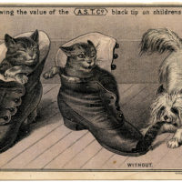 cats dog shoes vintage image