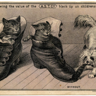 cats dog shoes vintage image