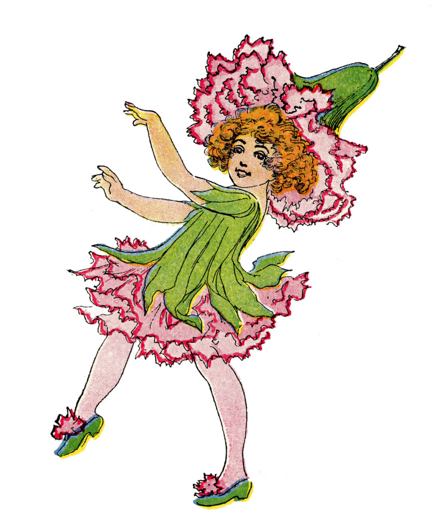 flower fairy carnation pink clipart