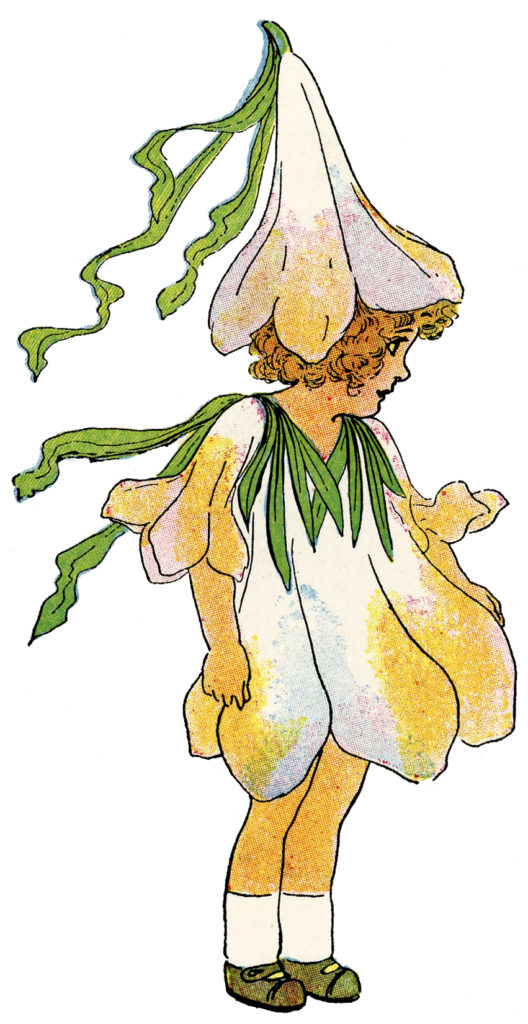 flower fairy crocus yellow clipart