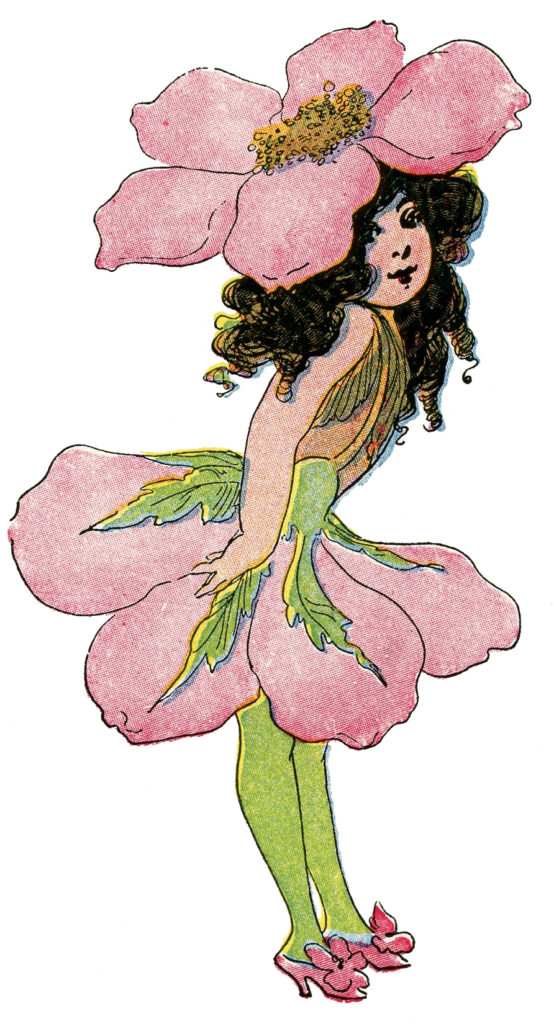 flower fairy pink rose image