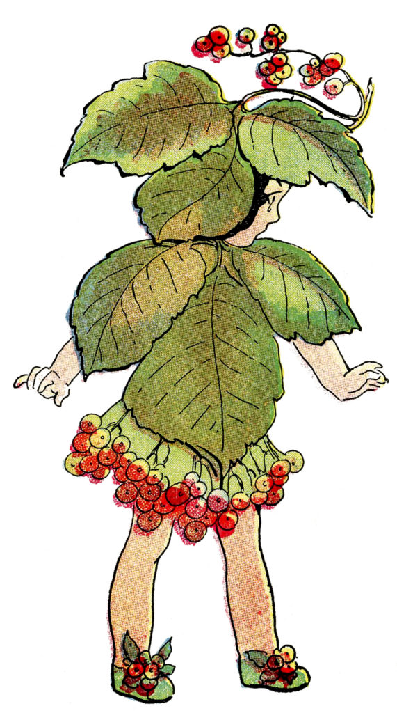 flower fairy red berries vintage illustration