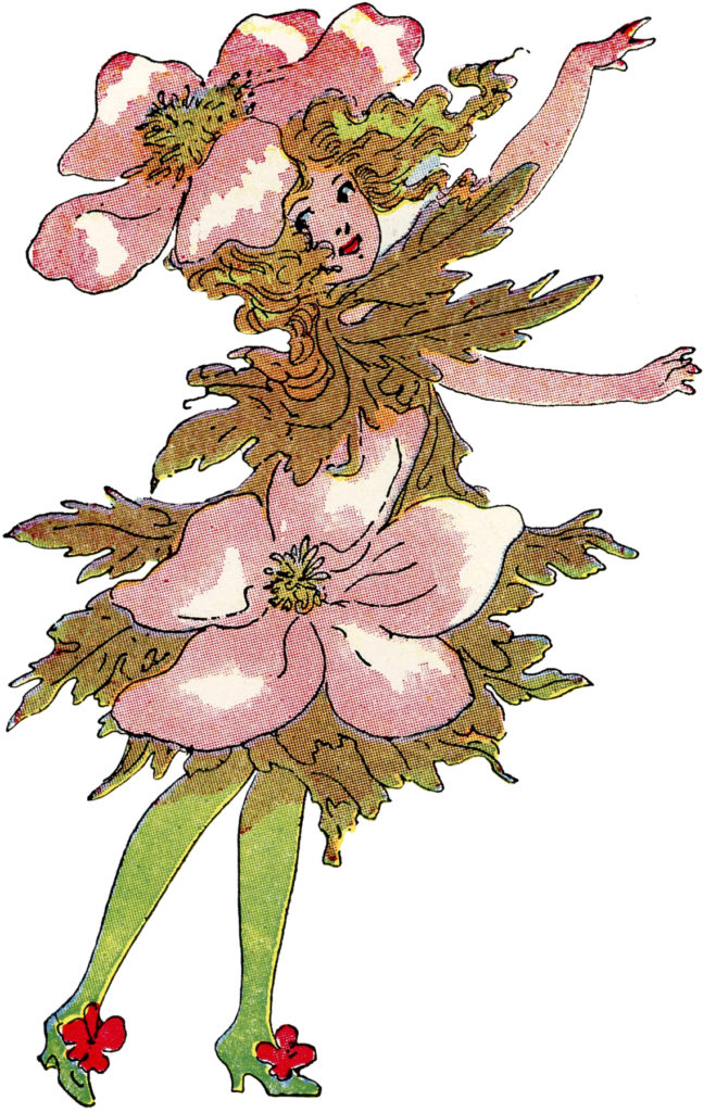 flower fairy dogwood pink image