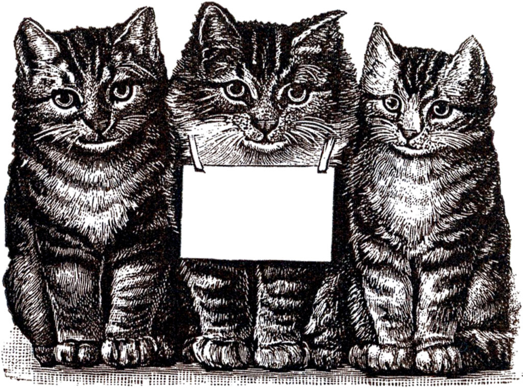 vintage tabby cat kittens clipart