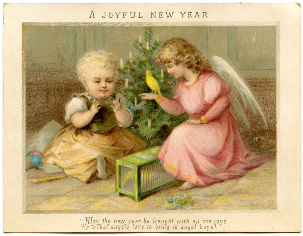 New Year angel canary wings image