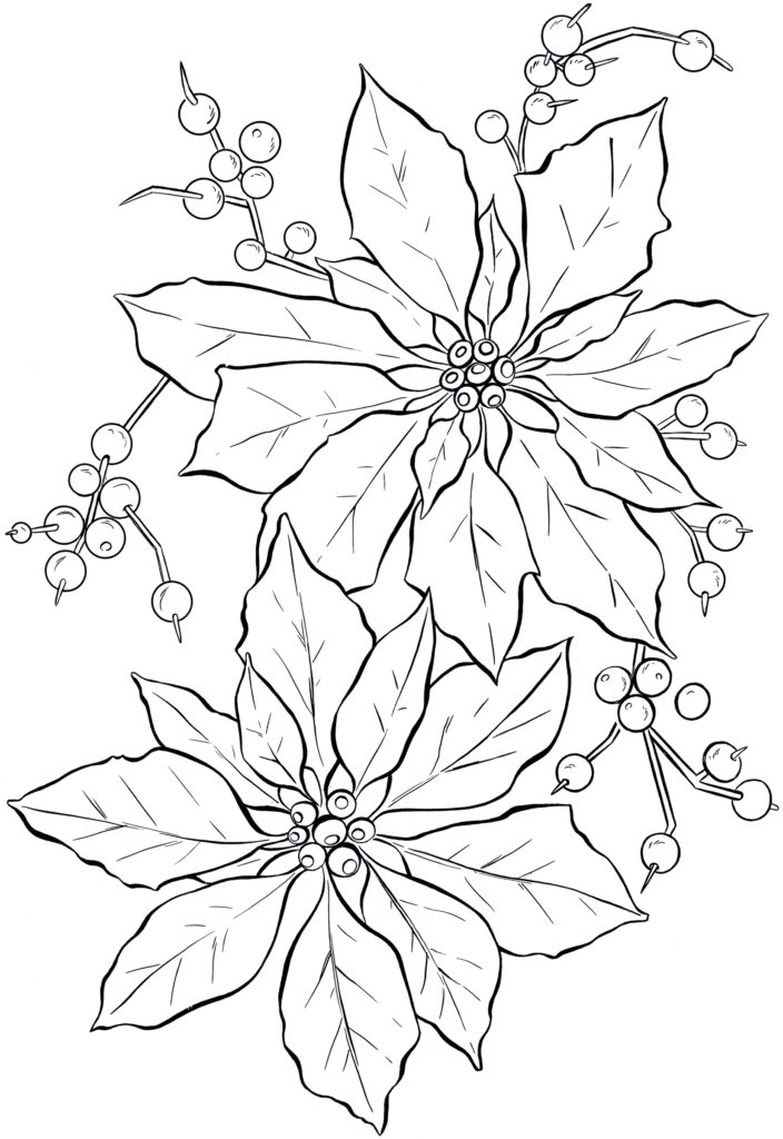 poinsettia line art coloring sheet image