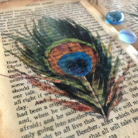 Peacock feather on book transfer craft