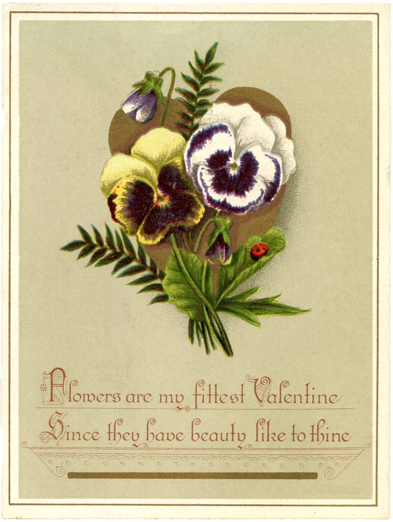 valentine pansies heart image