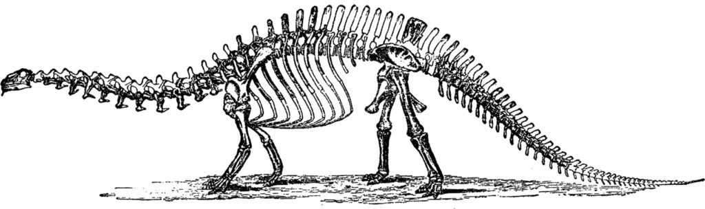 vintage brontosaurus bones image