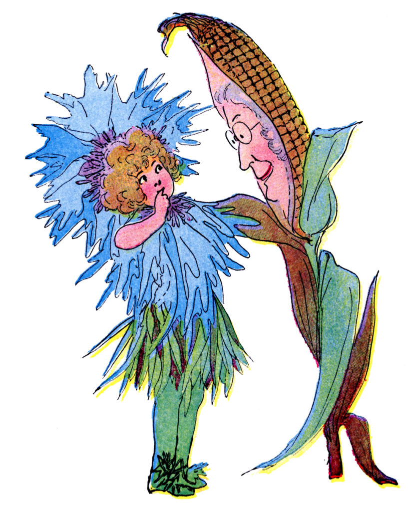 flower fairy cornflower blue illustration
