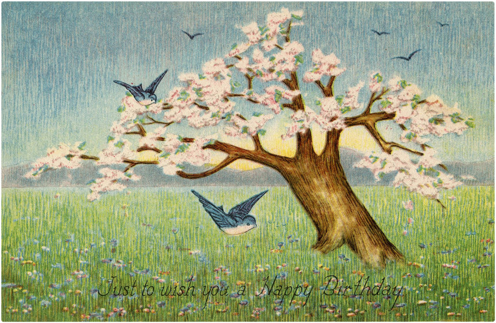 Happy Birthday Cherry Blossom Images