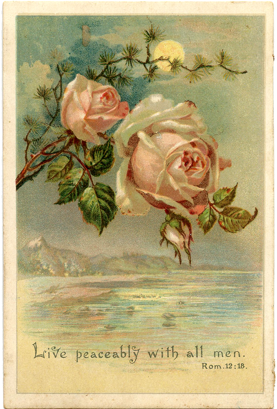 New GoRGeOuS RoSe n florals vintage roses rose clusters  Digital Graphic Design Elements single collage sheet png file