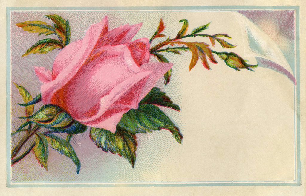 rose vintage calling card image