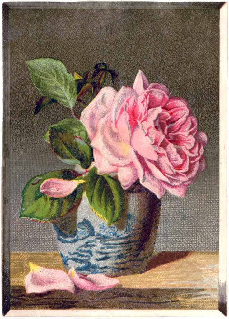 rose still life blue white vase image