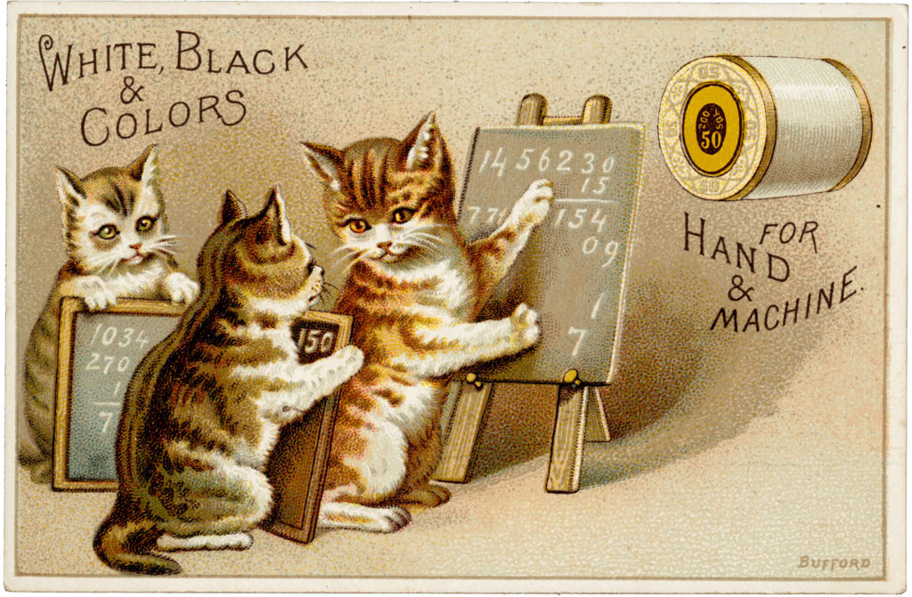 Victorian Cat Image at School