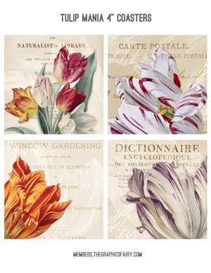 Tulip Flowers Collage