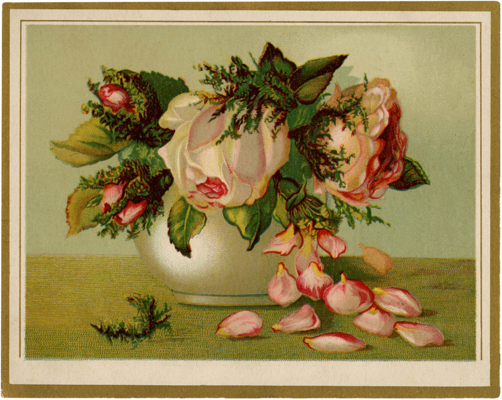 vintage drooping roses rose petals vase illustration