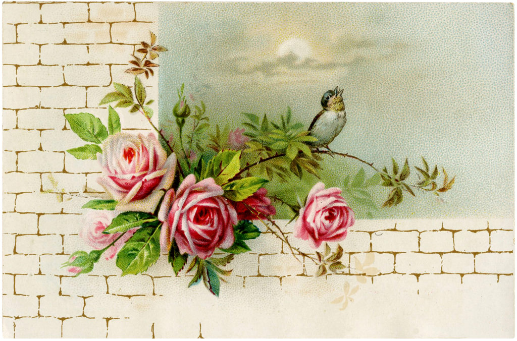 vintage roses brick wall bird image