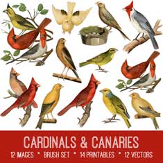 vintage cardinals & canaries ephemera bundle