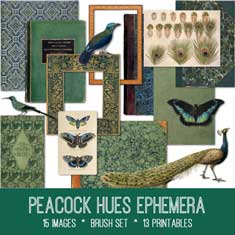 vintage peacock hues ephemera bundle