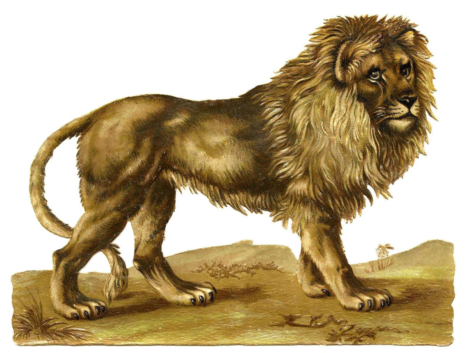 Lion Standing Mane Vintage Image