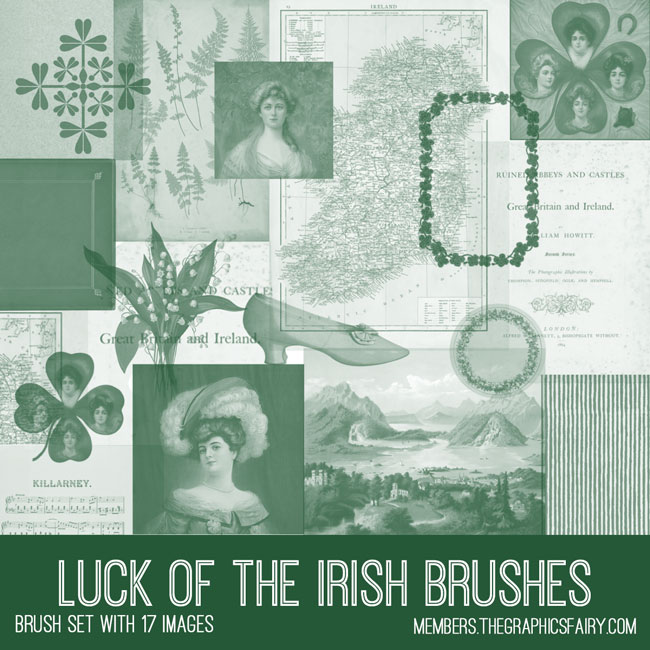 vintage luck of the irish ephemera brush set