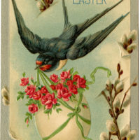 Easter bird swallow illustration
