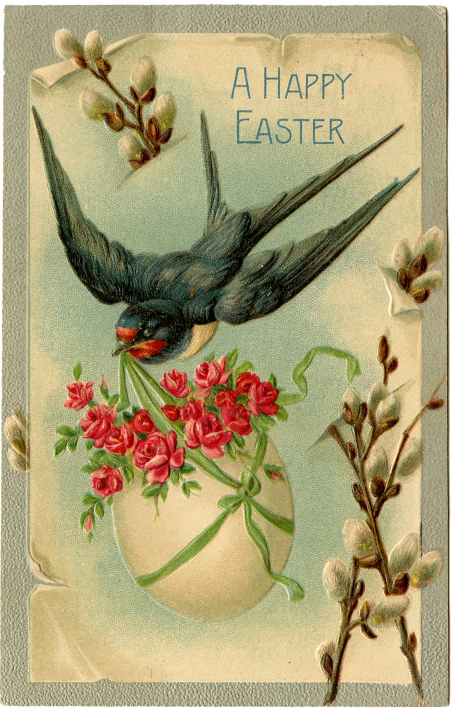 Easter bird swallow illustration