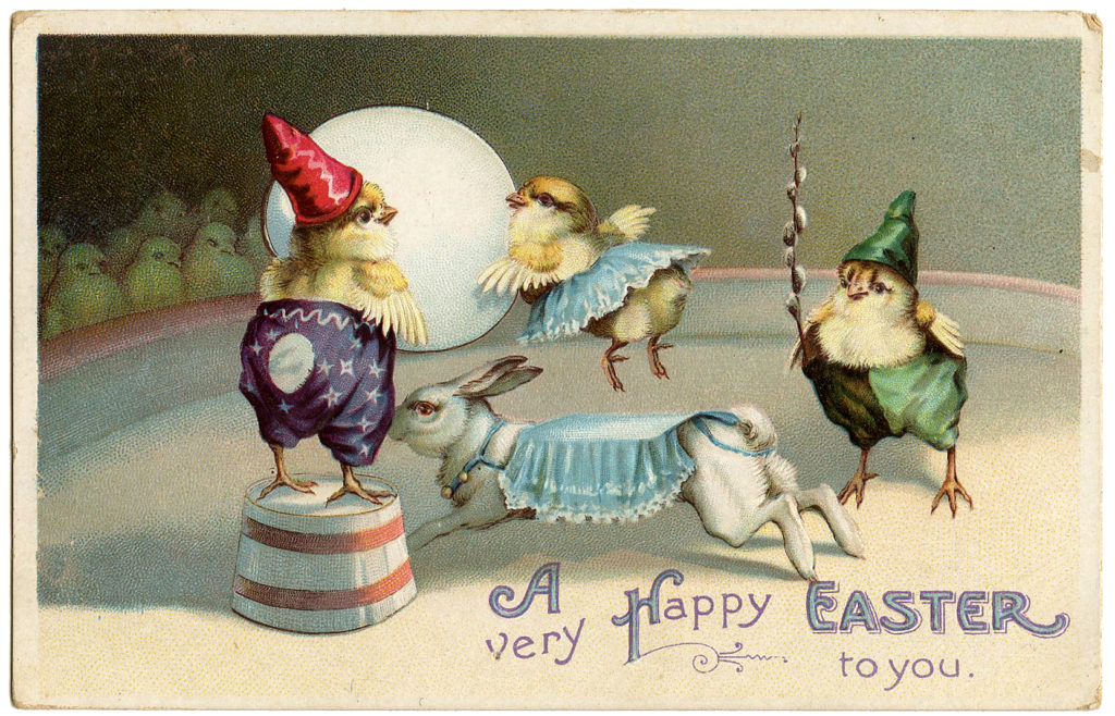 Easter Chicks Circus Image