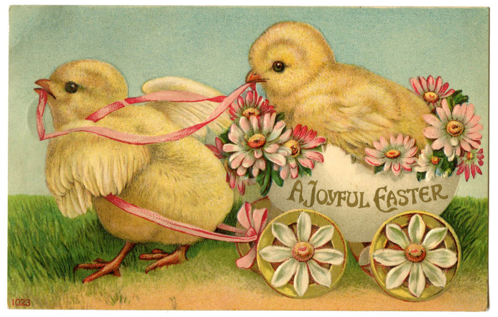 yellow chicks Easter image