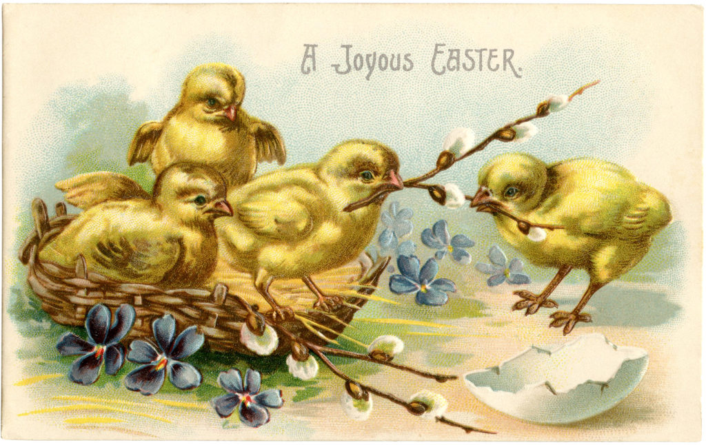 28 Easter Chicks Clipart Images The Graphics Fairy