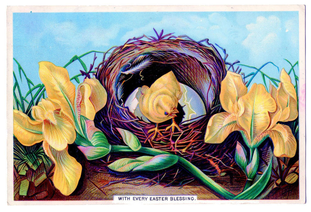 easter peeps nest flowers illustration