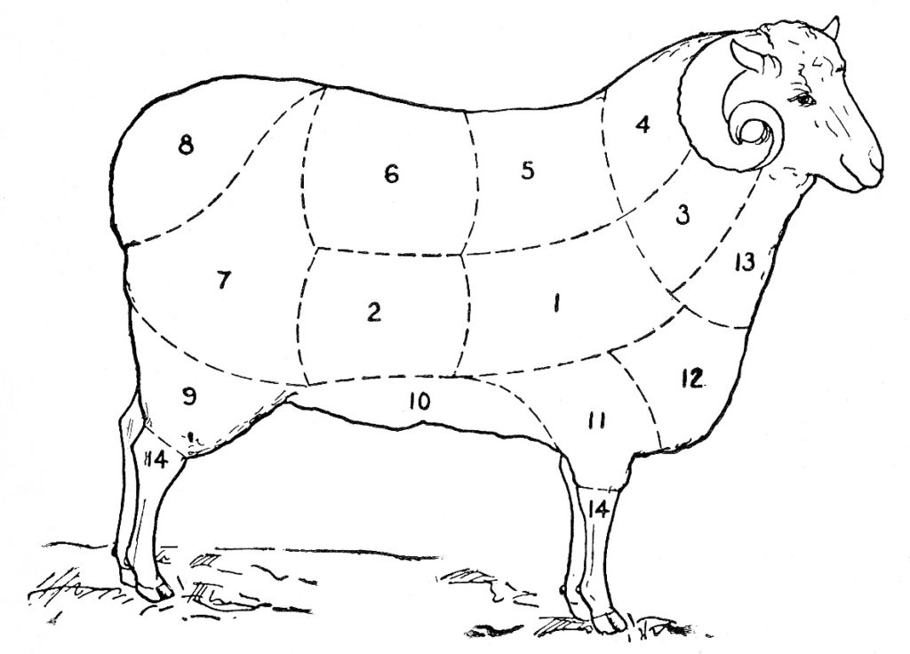 Vintage Sheep Diagram 