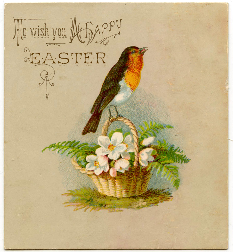 Easter Robin vintage typography image