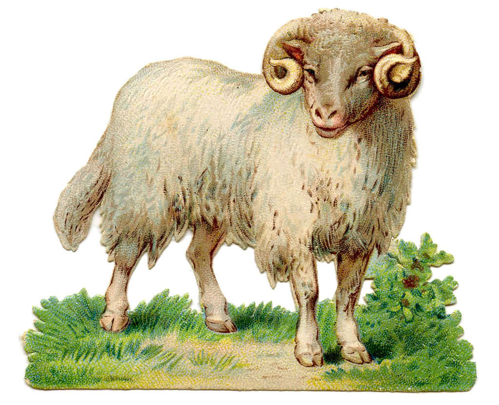 Vintage Ram Image