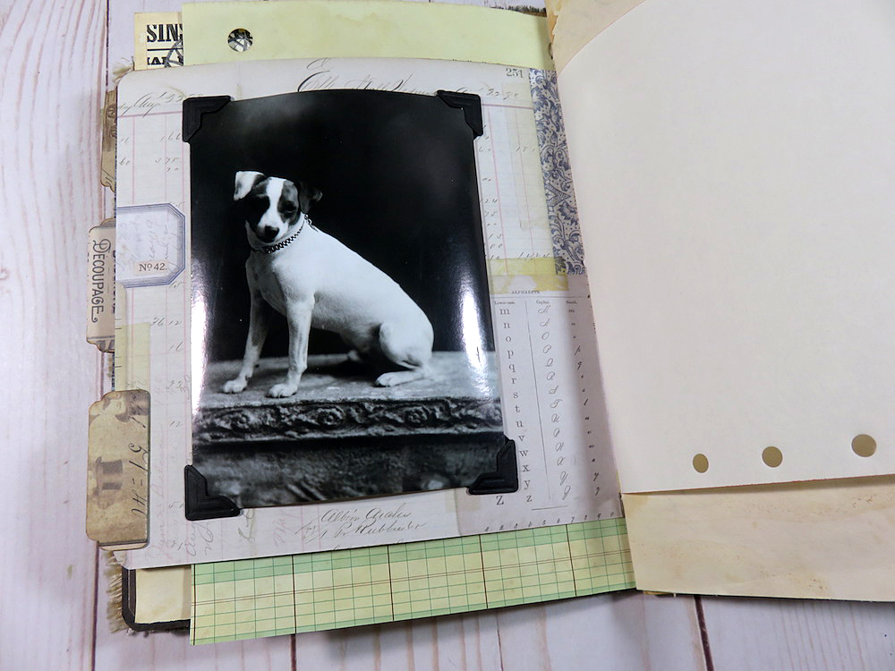 Vintage Dog Photo Junk Journal Page