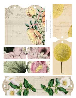 Yellow and Pink flowers collage