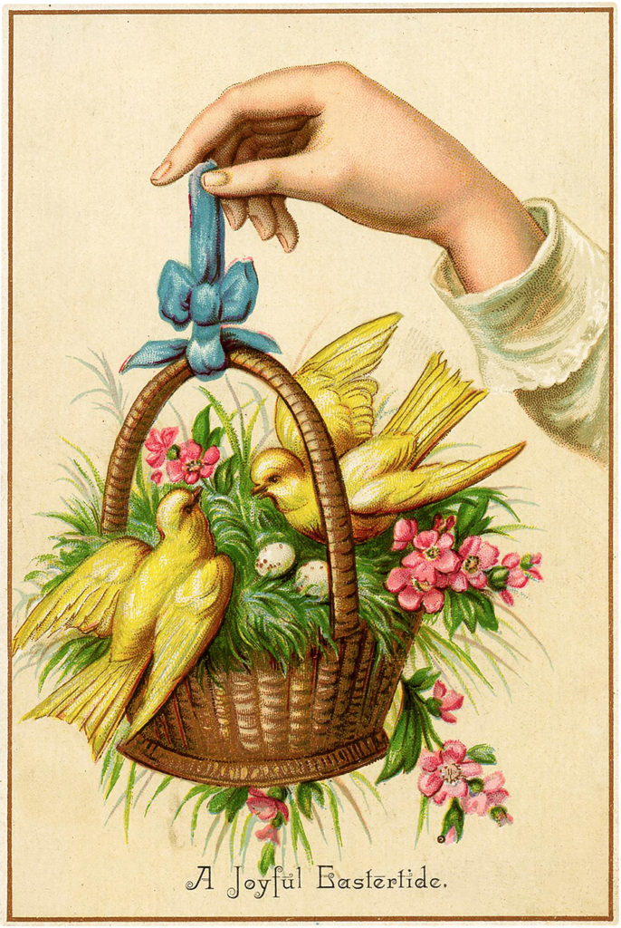 yellow birds basket flowers eggs image