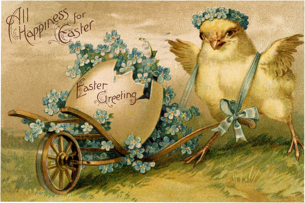 Easter chick wheelbarrow illustration