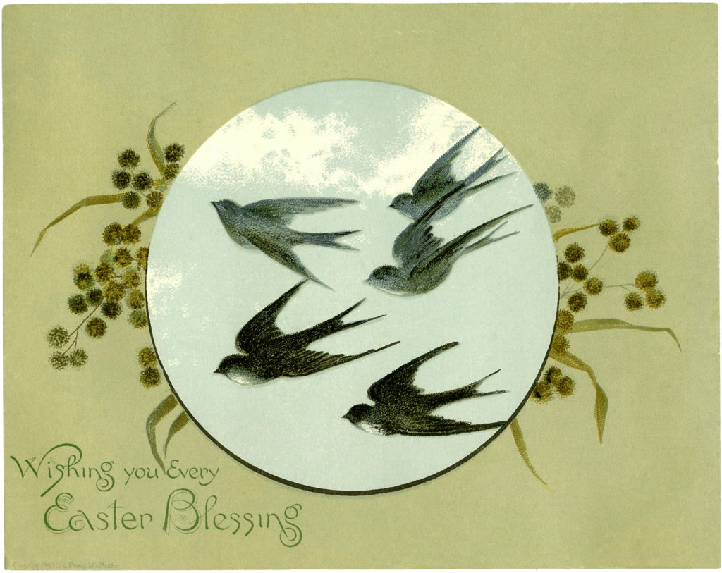 Easter birds flying clipart