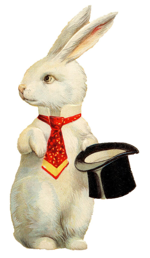 White Bunny with Top Hat Image