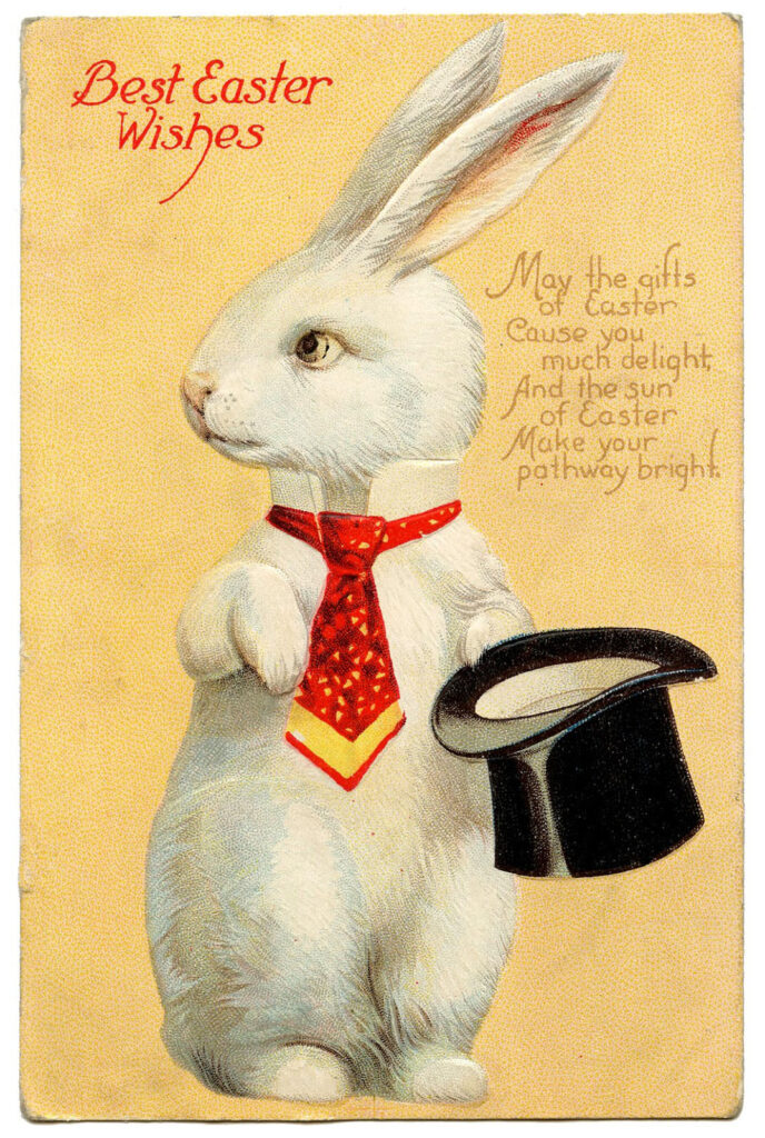 White Rabbit with Top Hat Image