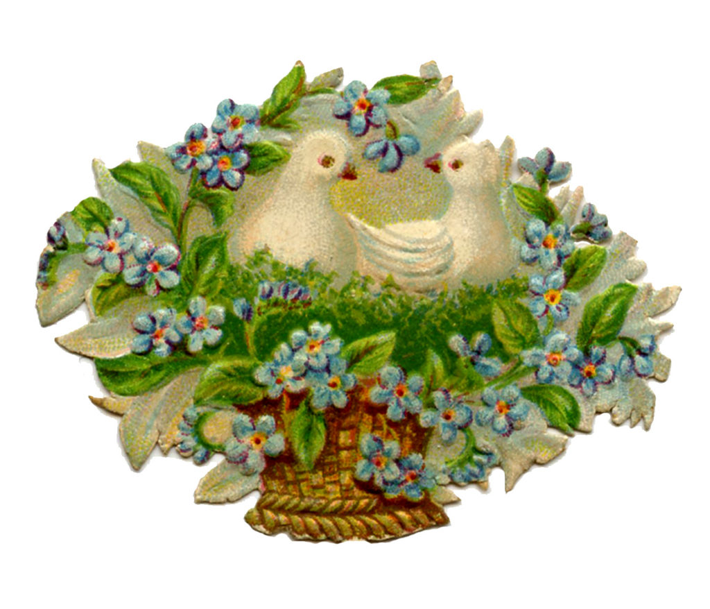 flower basket doves birds clipart