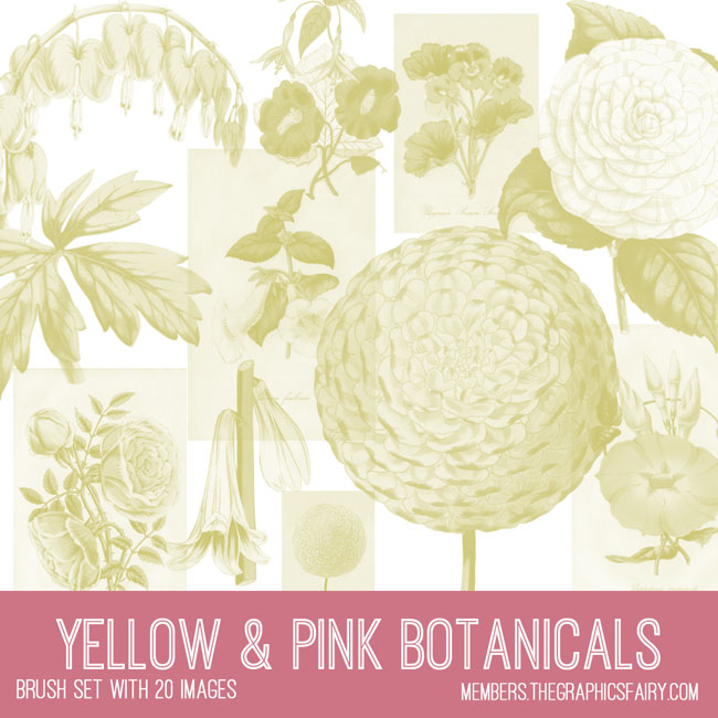 vintage yellow pink botanicals ephemera brush set
