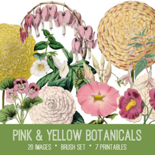 Yellow & Pink Botanicals Kit! Graphics Fairy Premium Membership - The Graphics Fairy