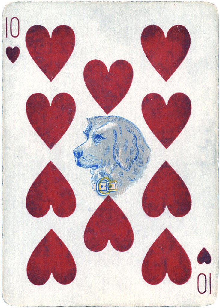 antique playing card dog image